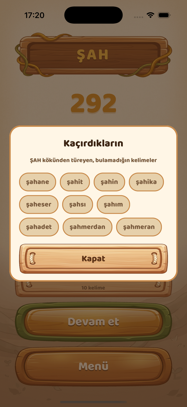 Kaçırdığın kelimeler